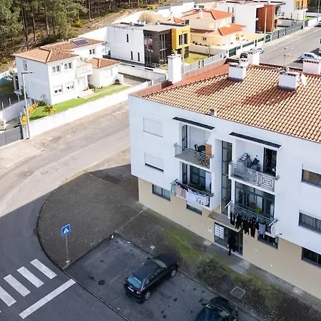 Waves & Wonders Daire